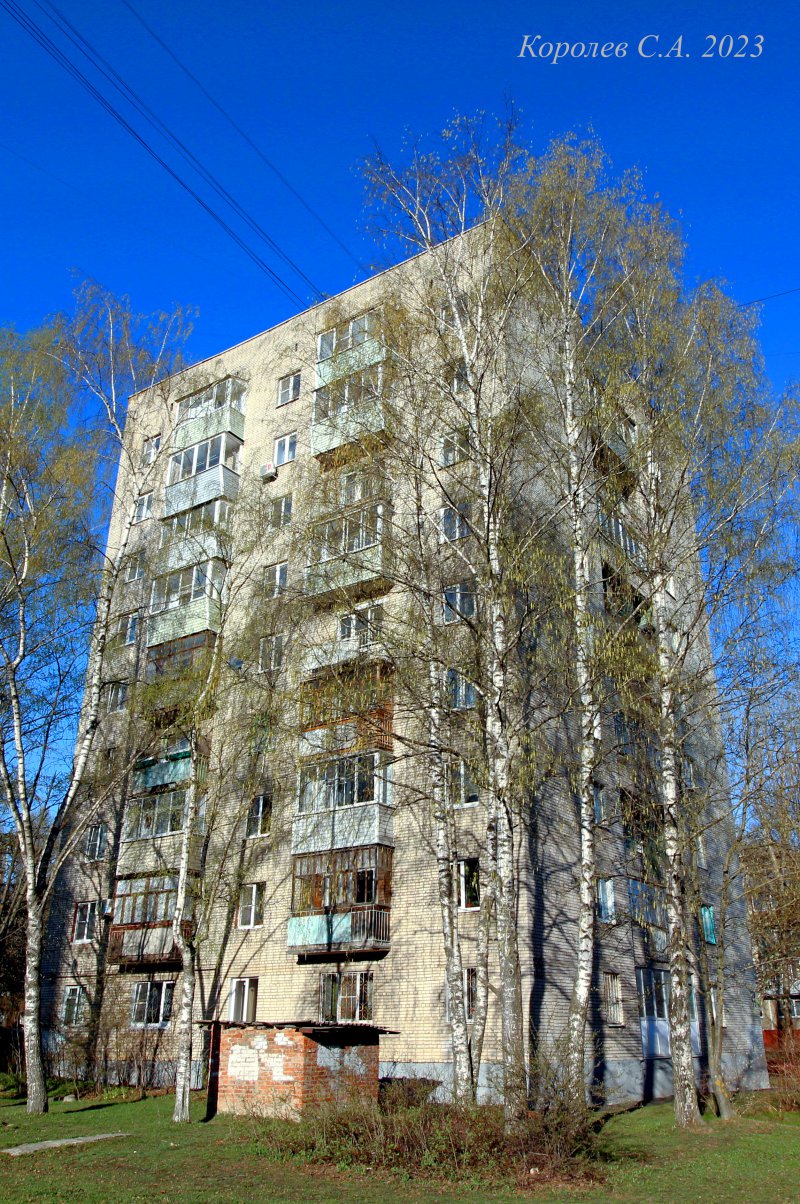 улица Балакирева 55 во Владимире фото vgv