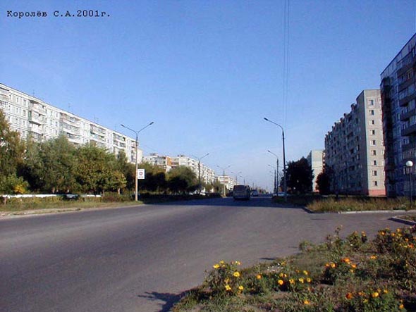 улица Безыменского во Владимире фото vgv