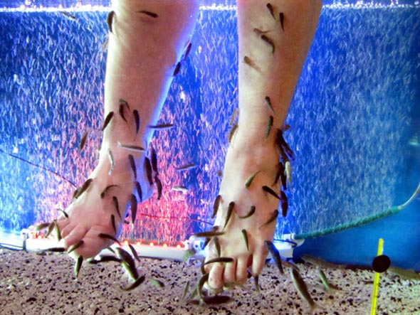 Студия релакса Волшебные рыбки (фиш-пилинг, массаж) во Владимире фото vgv