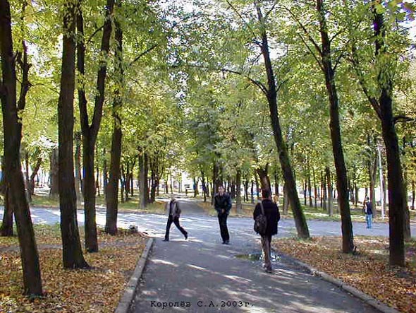 Комсомольский сквер 2002-2004 гг. во Владимире фото vgv
