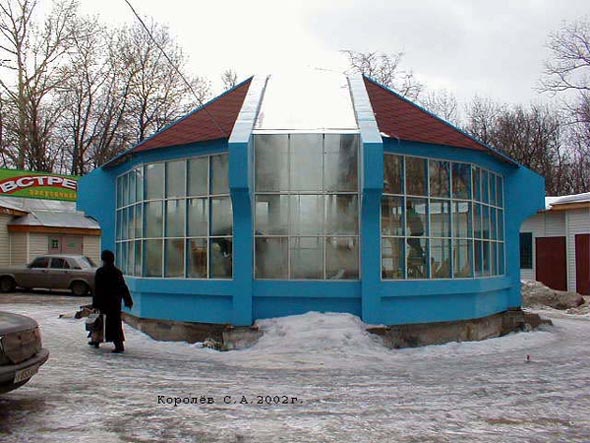 Торговый центр в Комсомольском сквере во Владимире фото vgv