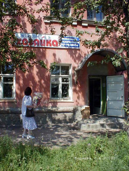 магазин бытовой химии «Хозяйка» на Чайковского 12 во Владимире фото vgv
