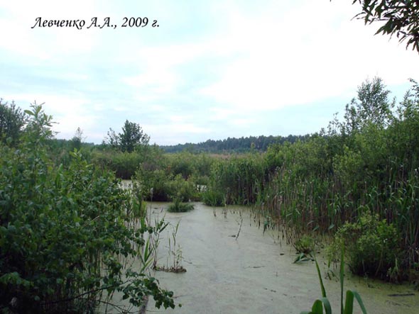 болото за Долгой Лужей (вероятно из за него и назван населённый пункт) во Владимире фото vgv