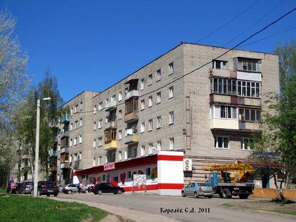 улица Добросельская 183 во Владимире фото vgv