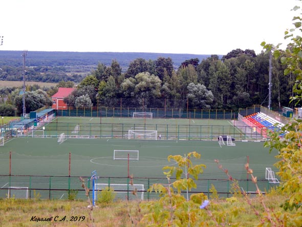 Спортивная школа олимпийского резерва по футболу во Владимире фото vgv
