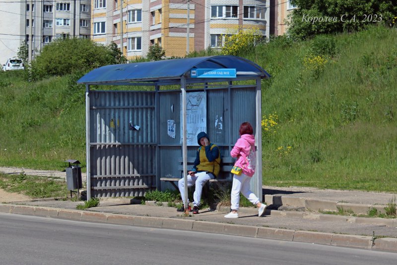 остановка «Детский сад N 12» - в центр на Фатьянова 18 во Владимире фото vgv