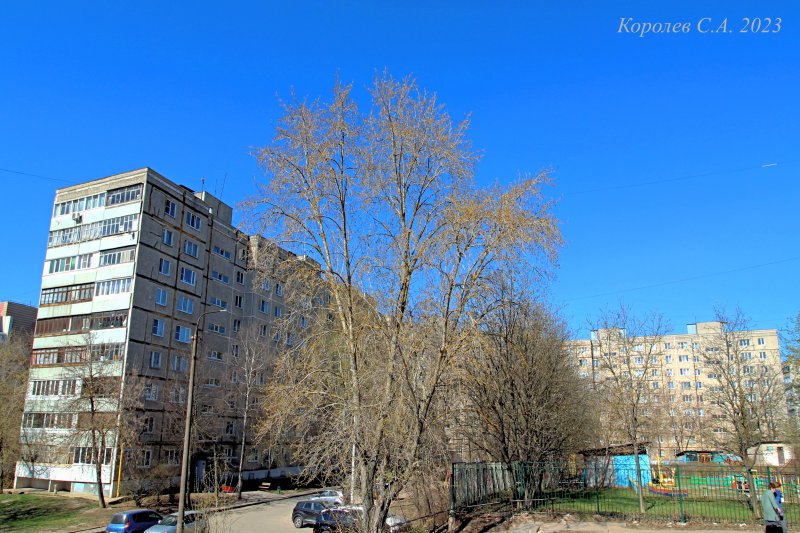 улица Горького 113б во Владимире фото vgv