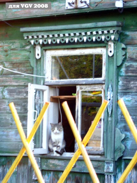 Кошка в окошке фотозарисовки в Оргтруде 2008 год во Владимире фото vgv