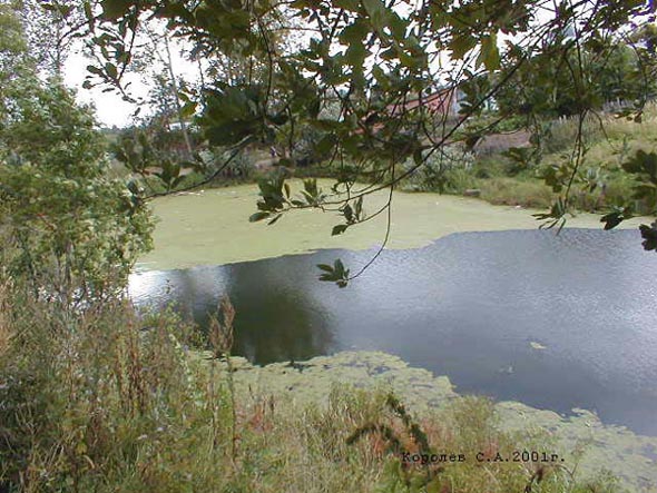 Верхний пруд (каскад Красносельских прудов) во Владимире фото vgv