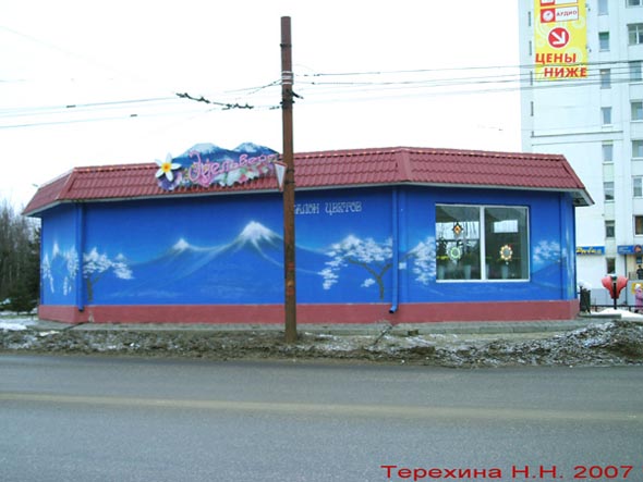 улица Комиссарова 28б во Владимире фото vgv
