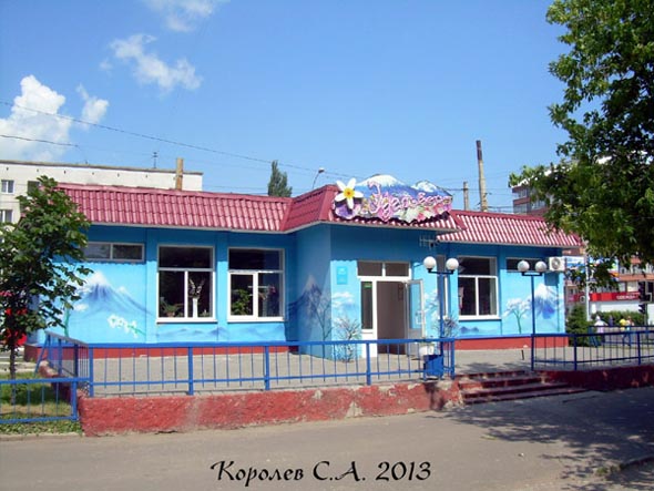 салон цветов «Эдельвейс» на Комиссарова 28б во Владимире фото vgv