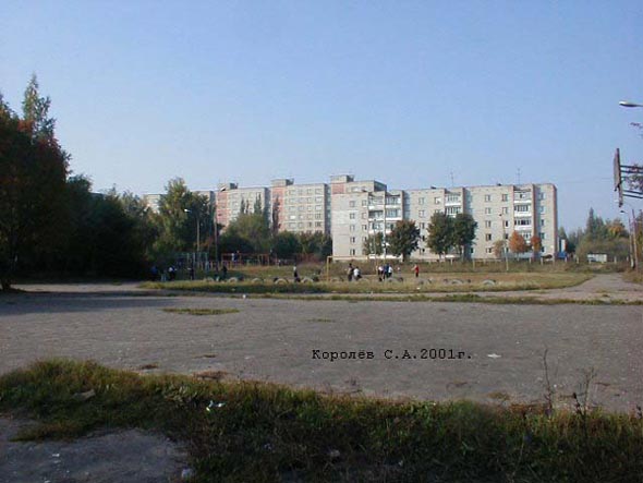 спортивная площадка у школы 35 во Владимире фото vgv