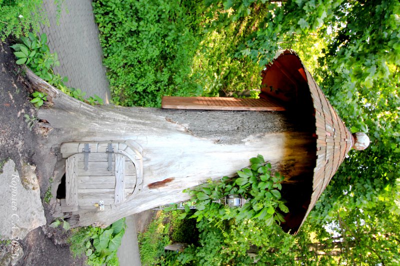 «Европейская сказка» на остатках самого старого вяза в Патриарших садах во Владимире фото vgv