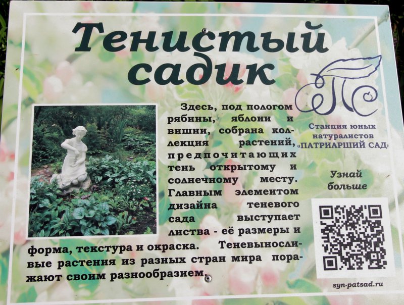 «Тенистый садик» и скульптура «Юннатка» в Патриарших садах во Владимире фото vgv