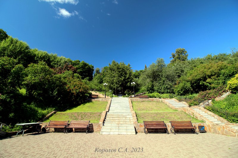 Радиальные аллеи-лестницы в Патриарших садах во Владимире фото vgv