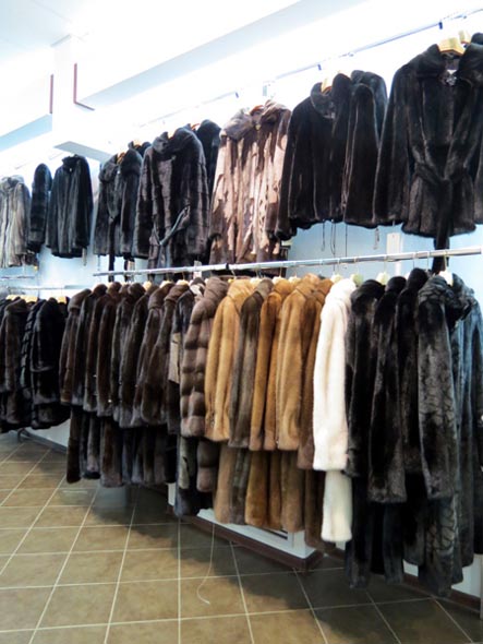 салон женской одежды и пальто «Аркада» на Ленина во Владимире фото vgv