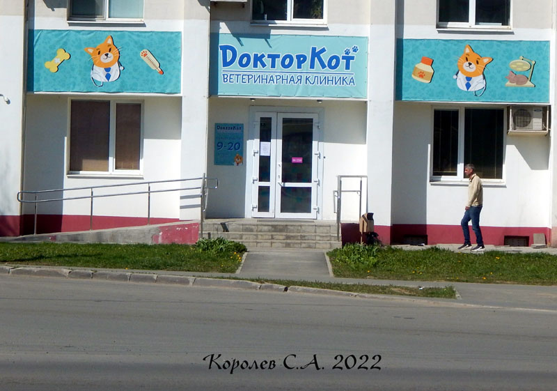ветклиника «Добрый Кот» на Ленина 48 во Владимире фото vgv