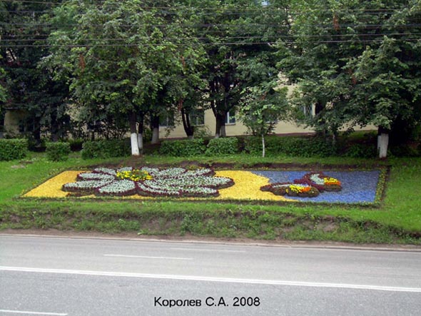 Цветочная клумба 2008 г. во Владимире фото vgv