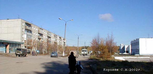 улица Лесная поселок Лесной во Владимире фото vgv