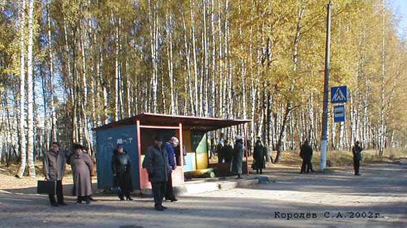 пос. Лесной - 1 во Владимире фото vgv