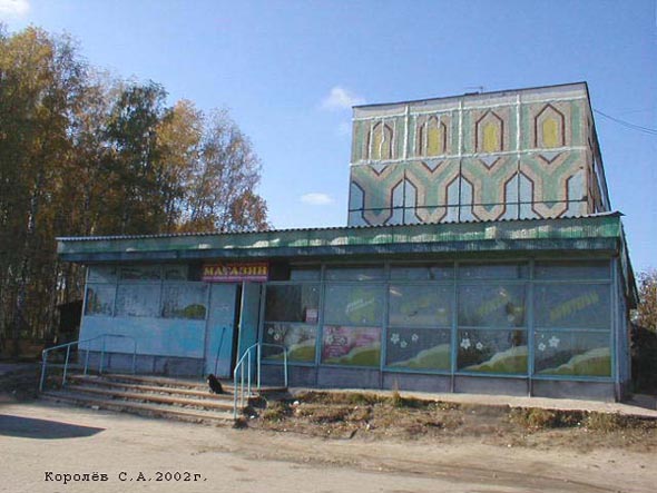 магазин Мясо Колбасы на Лесной 5 во Владимире фото vgv