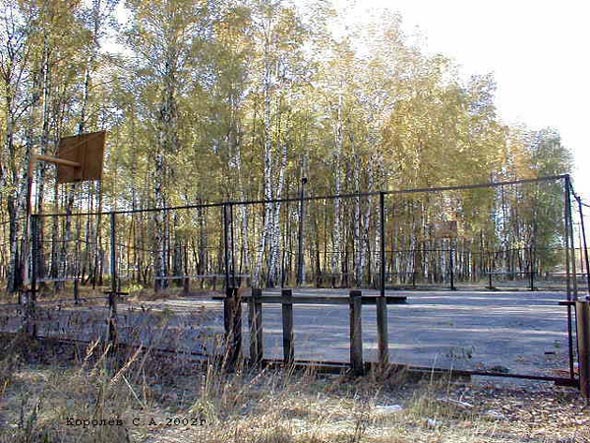 баскетбольная площадка удома 5 в Лесном во Владимире фото vgv