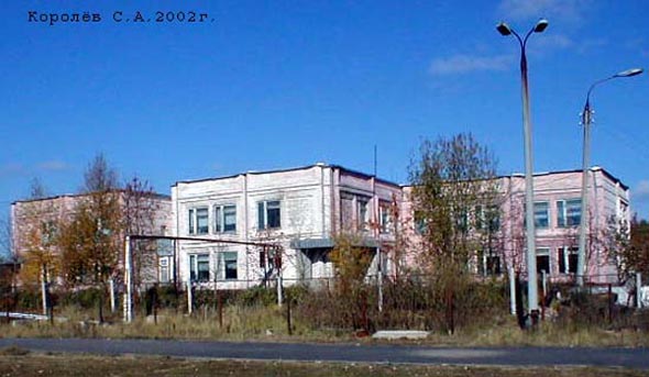 улица Лесная поселок Лесной 12а во Владимире фото vgv