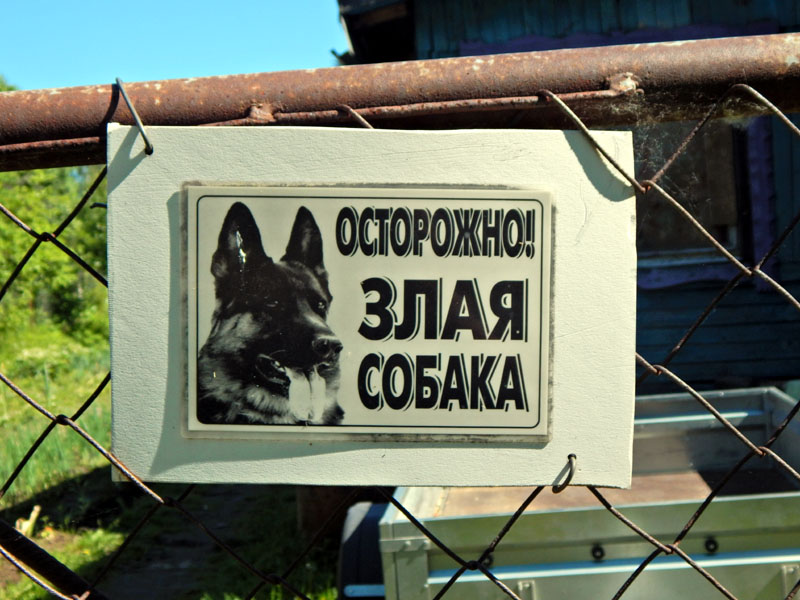 «Осторожно - Злая собако-кошка мутант» во Владимире фото vgv