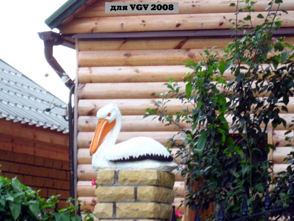 Лебедь на заборе во Владимире фото vgv