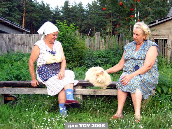 Бабушки на лавочке с кисой во Владимире фото vgv