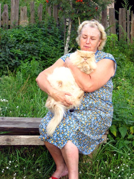 Бабушки на лавочке с кисой во Владимире фото vgv