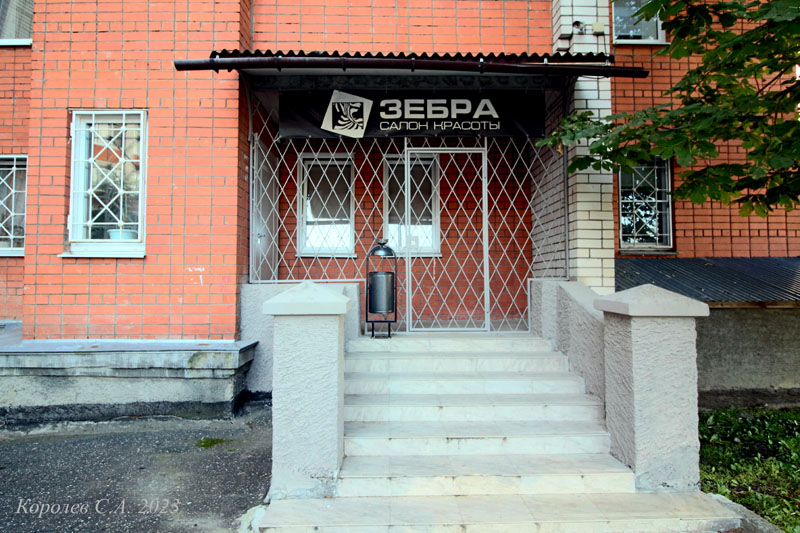 салон красоты «Зебра» на Мира 4а во Владимире фото vgv