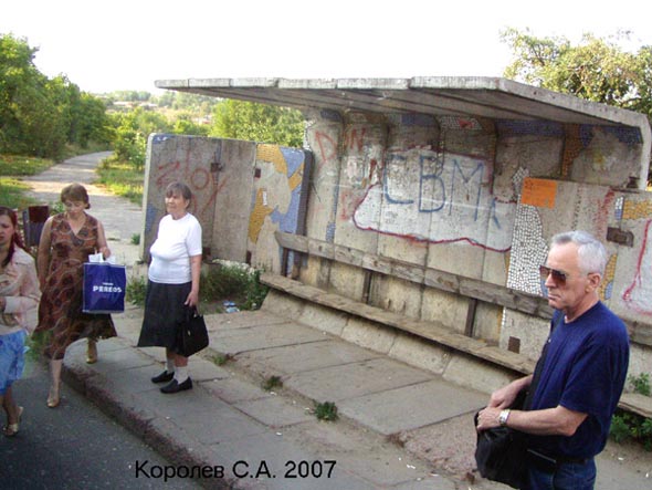 остановка Дворец творчества юных - заезд с Мира во Владимире фото vgv