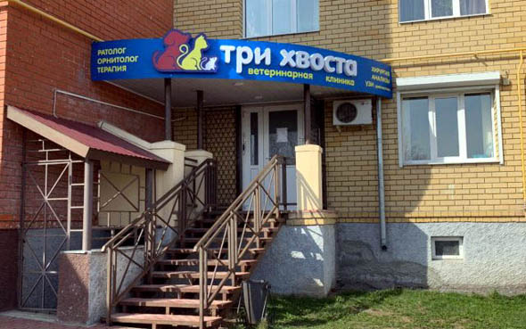ветеринарная клиника «Три хвоста» на Мира 15 во Владимире фото vgv