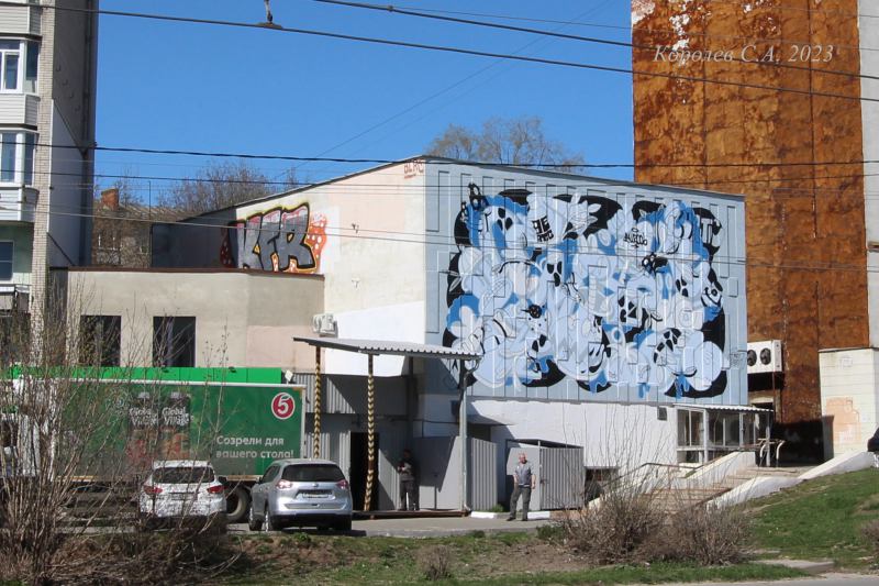 граффити «Паутина» на Мира 17 во Владимире фото vgv