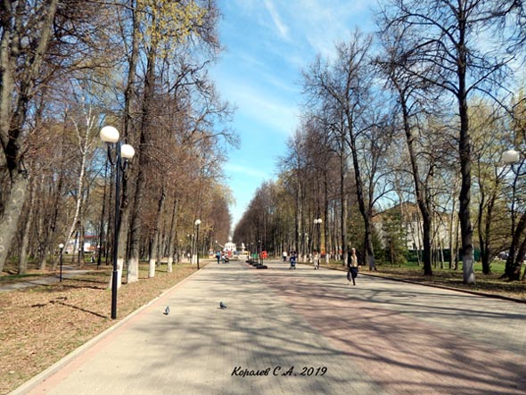 улица Мира 36 во Владимире фото vgv