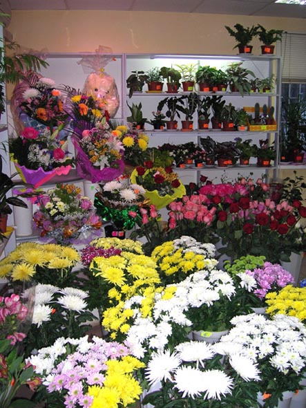 салон цветов и подарков «Зеленая карета» на Мира 49 во Владимире фото vgv