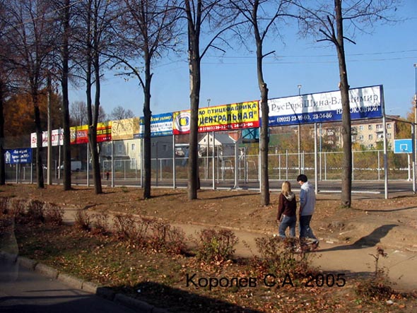 спортивная площадка школы N 21 во Владимире фото vgv