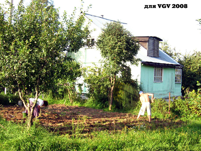 Дачники и дачный поселок в селе Мосино во Владимире фото vgv