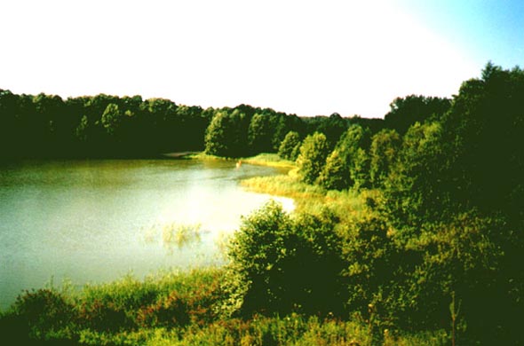 Карьерное озеро во Владимире фото vgv