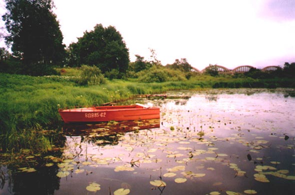 Пойменное озеро южнее пос. Мостострой во Владимире фото vgv