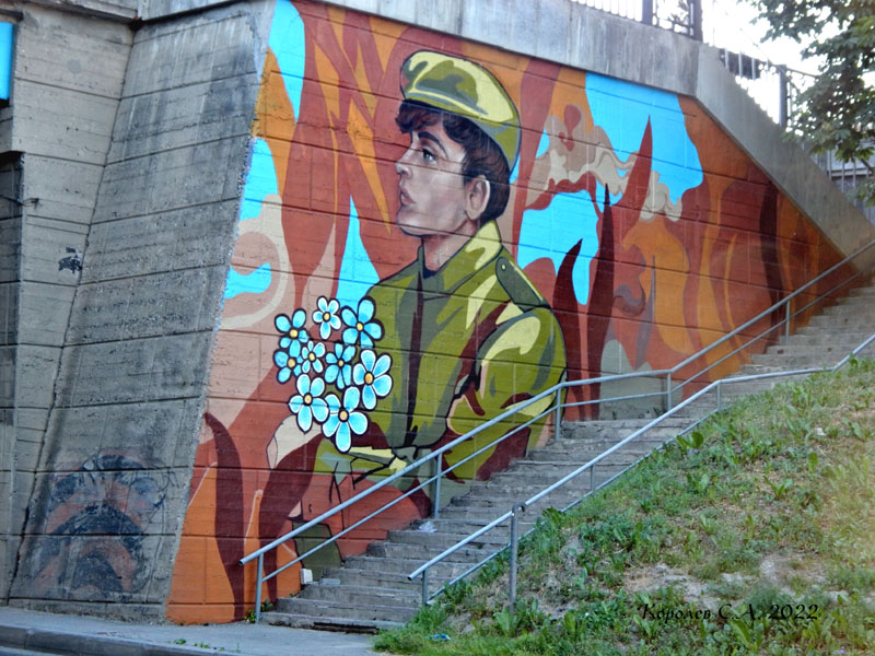 Граффити на мосту через улицу Муромская 2022 год во Владимире фото vgv