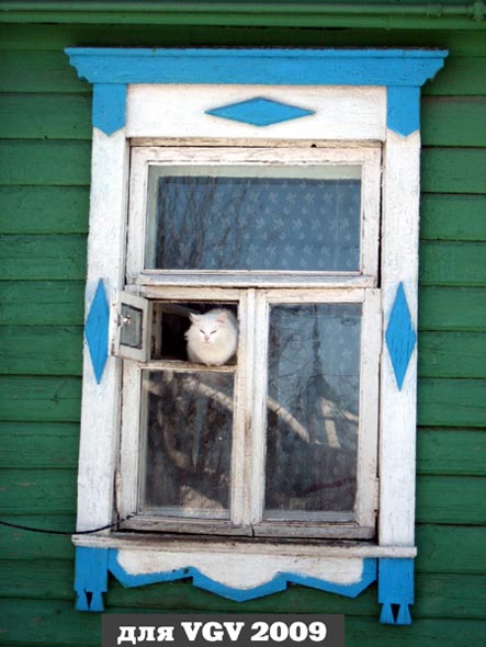 фотоэтюд кошка в окошке дома 24 на улице МЮДа во Владимире фото vgv