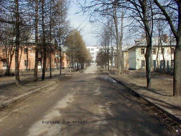 улица Никитина во Владимире фото vgv