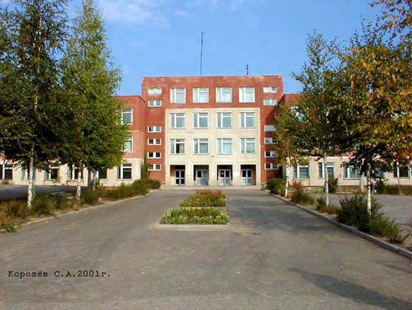 Средняя общеобразовательная школа № 39 с гимназическими классами на Нижней Дуброва 28а во Владимире фото vgv