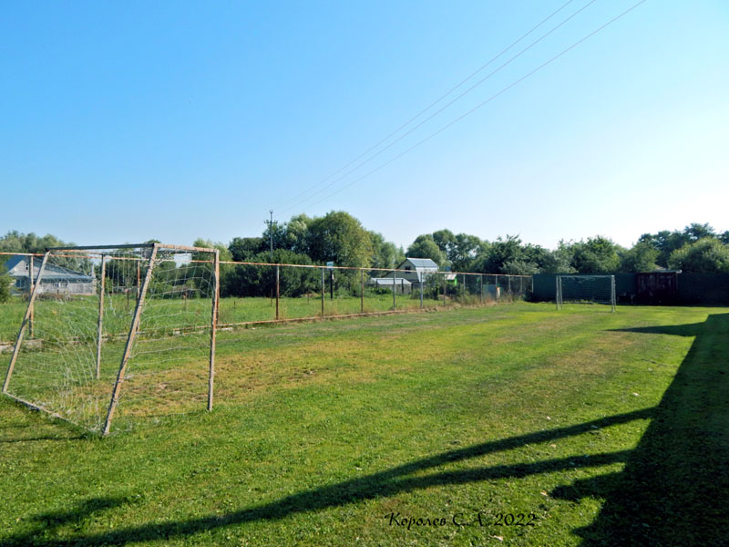 футбольное поле на Ольховке у дома 19а в Лунево во Владимире фото vgv