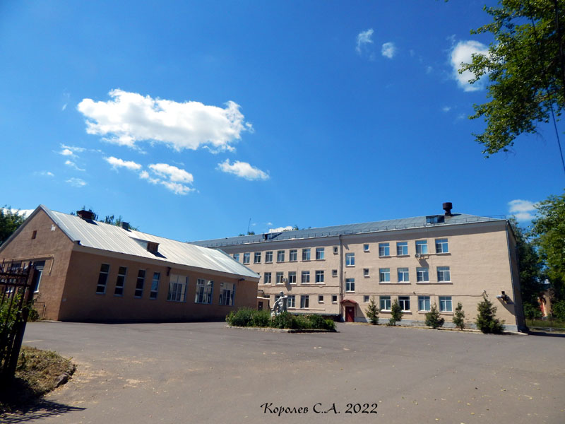 ГБУЗ ВО «Областной центр специализированных» в Пиганово во Владимире фото vgv