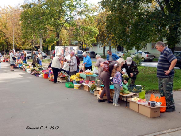 микрорынок на улице Полины Осипенко у дома 12 фото 2019 года во Владимире фото vgv