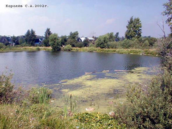 Верхний Семязинский пруд во Владимире фото vgv