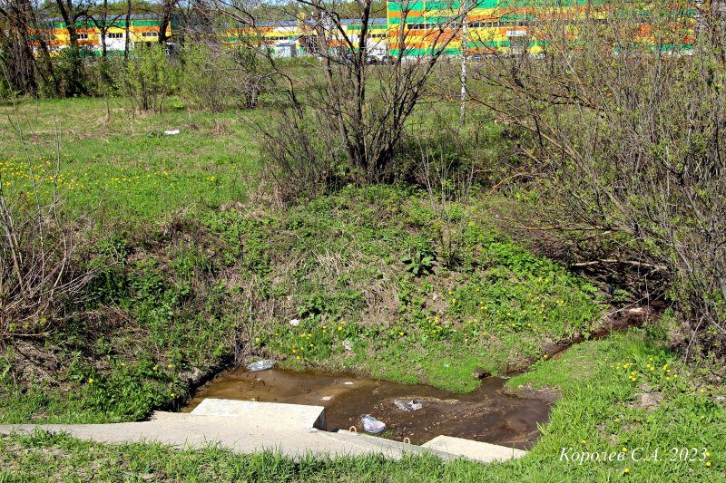 ручей Малый Сунгирь и пруд на нем у газовой заправки на Растопчина 4 во Владимире фото vgv